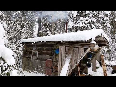 Видео: РЫБАЛКА В ТАЙГЕ 2ч. ИЗБА. ВОЗВРАЩЕНИЕ. ВОЛКИ!