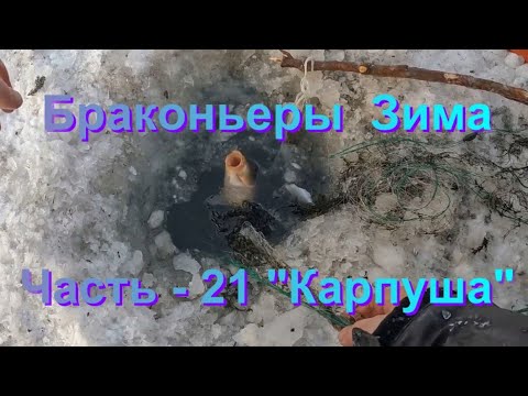 Видео: Браконьеры. Зима. Часть - 21 "Карпуша".