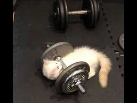 Видео: настя кош - лёд speed up