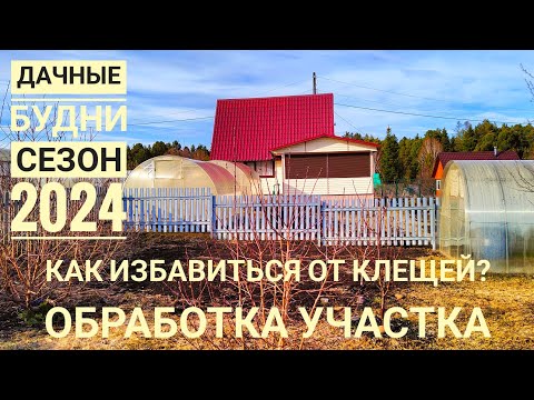 Видео: Травим клещей. Дачные будни. Открытие дачного сезона 2024.