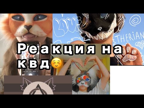 Видео: Что опять квд стали популярите?! Реакция на квадробику?😱