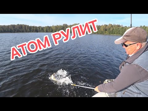 Видео: Ловля щуки в сентябре || АТОМ рулит 🎣