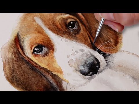 Видео: Урок рисования щенков акварелью с комментариями — Treeing Walker Coonhound