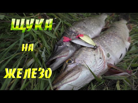 Видео: Щука на ЖЕЛЕЗО! Как ловить щуку на блесну. Рыбалка на щуку. Блесна на щуку