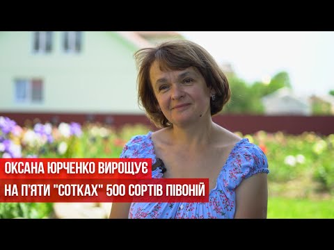 Видео: Оксана Юрченко вирощує на п’яти "сотках" 500 сортів півоній