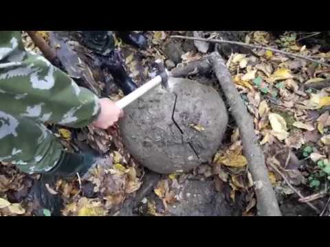 Видео: В поисках аммонитов по реке Тегинь