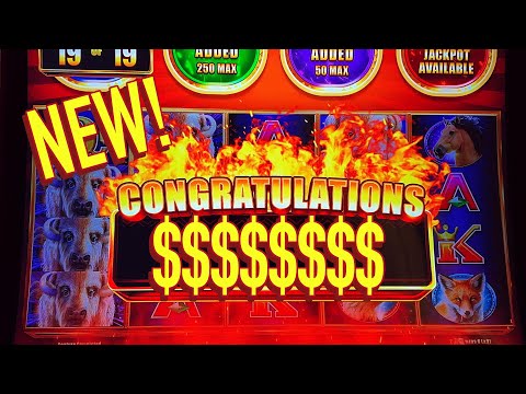 Видео: VegasLowRoller Мама ОГРОМНАЯ ВЫИГРЫША В СЛОТАХ BUFFALO CHIEF!!!!