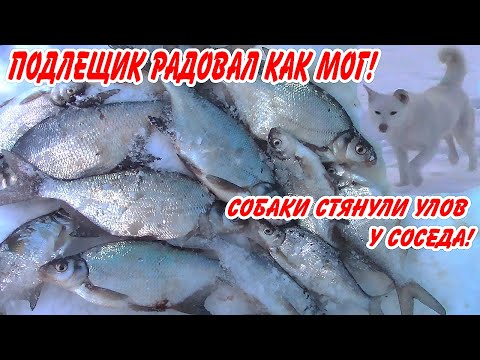 Видео: Рыбалка в этот раз ПОРАДОВАЛА! Подлёдка на Иркутском водохранилище!