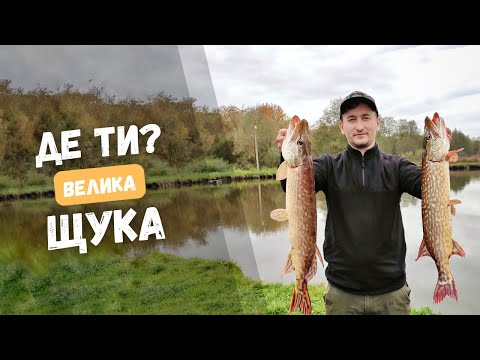 Видео: ВЕЛИКА ЩУКА, ти де? Осіння РИБАЛКА НА ЩУКУ. Проводка та ПРИМАНКА на неактивну рибу.