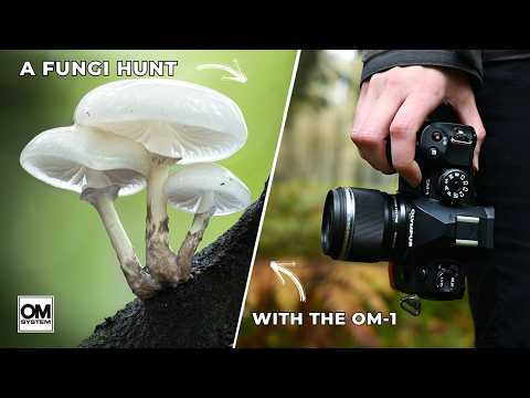 Видео: Скорость и неподвижность в фотографии с OM-1