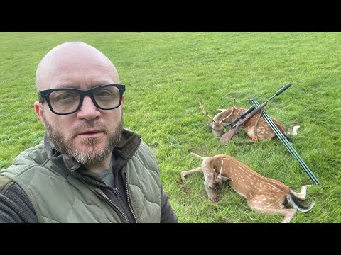 Видео: Охота на оленя.