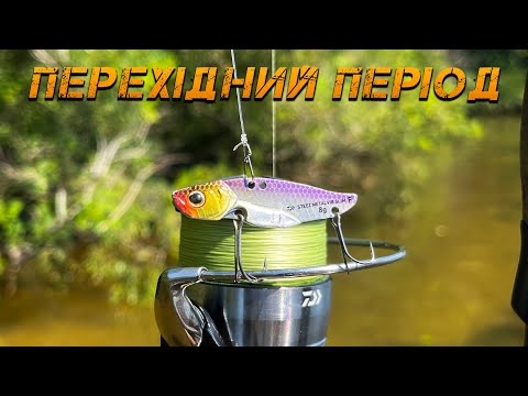 Видео: ✅На Що Клює ЗАРАЗ? Перехідний Період✅