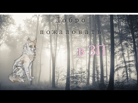 Видео: Айла и Мирька в ЗП | CatWar | Звёздное племя