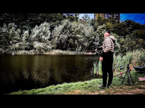 Видео: Дикий Карп Фішинг серед Міста