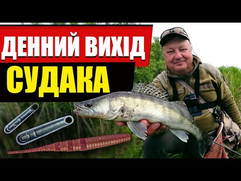 Видео: Вага вирішує! Мікро ДЖИГ-РІГ. Судак на ультралайт Crazy Fish Arion 702ULS