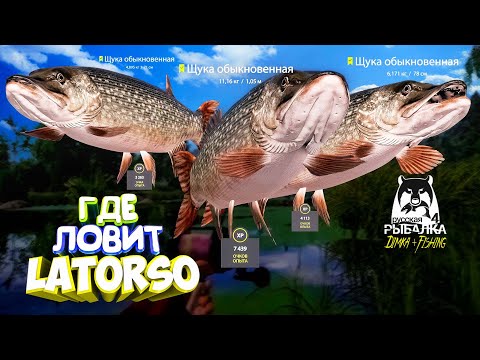 Видео: Русская рыбалка 4.🎣🦈 оз. Старый Острог 🐬🐬🐬💦 ГДЕ ЛОВИТ LATORSO 👀