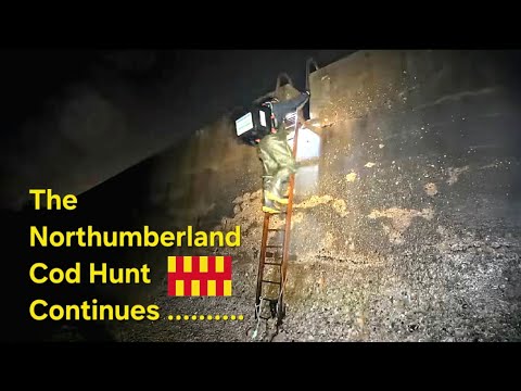 Видео: ❌ Спуск по лестнице ❌ Опасная охота на треску Блит | Рыбалка на скалах Нортумберленда