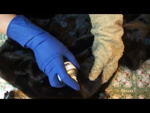 Видео: Как покрасить и почистить шубу тоником для волос.