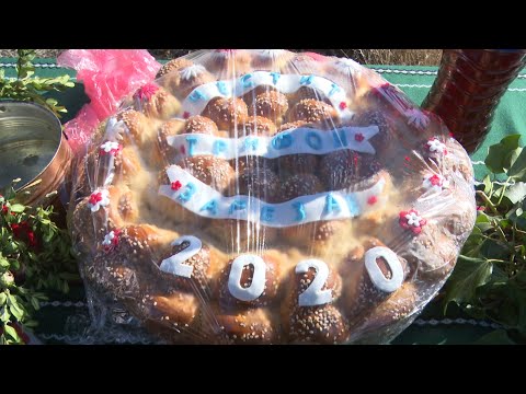 Видео: Честване на празника Трифон Зарезан в село Плоски