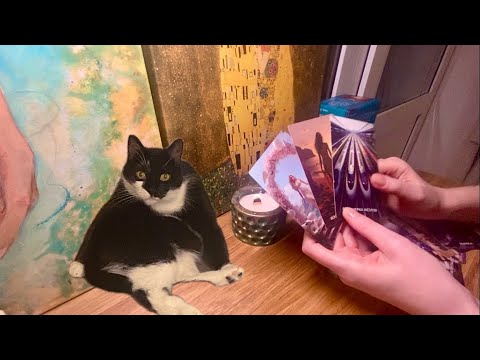 Видео: 💫 Моя личная жизнь | Где вы сейчас и как притянуть любовь?❤️