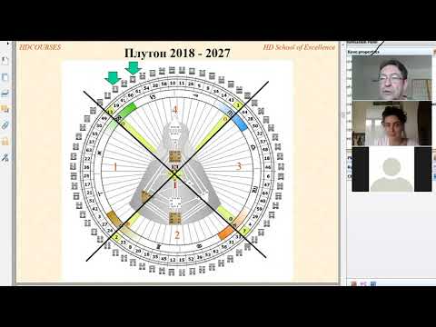 Видео: Петер Шёбер. Ограничения и мутация, в которых мы живем.