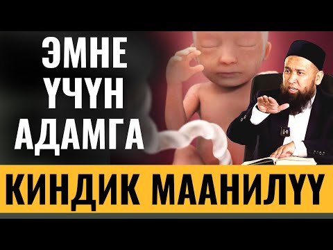 Видео: ЭМНЕ ҮЧҮН АДАМГА КИНДИК МААНИЛҮҮ