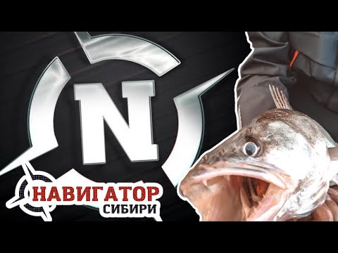 Видео: Золотая осень тур 2023г