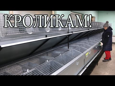 Видео: КАК МЫ КЛЕТКИ ДЛЯ КРОЛИКОВ СОБИРАЛИ!