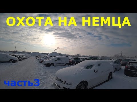 Видео: Охота на немца в Литве. ч3