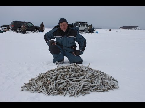 Видео: Де-Кастри (подледная рыбалка)
