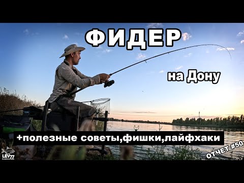 Видео: Рыбалка на Дону.Лещи и караси на фидер.