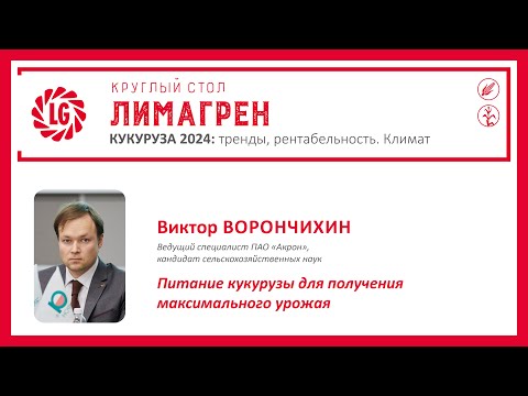 Видео: 🌽Питание кукурузы для получения максимального урожая