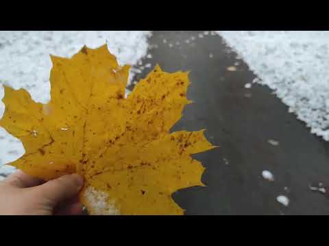 Видео: Сніг розтанув.