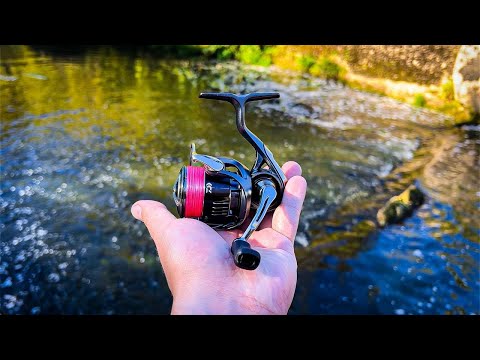 Видео: САМАЯ ЛЕГКАЯ КАТУШКА 🏆/ ПЕРВАЯ РЫБАЛКА с DAIWA 24 AIRITY ST SF 2000SS-P