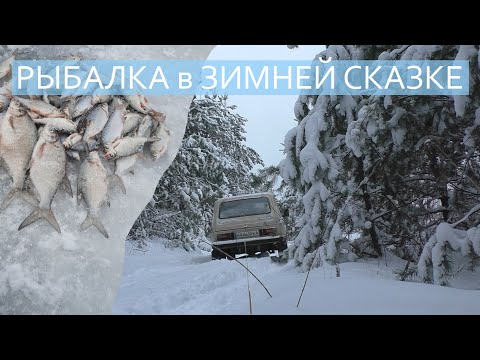 Видео: РЫБАЛКА в ЗИМНЕЙ СКАЗКЕ! / Печенеги