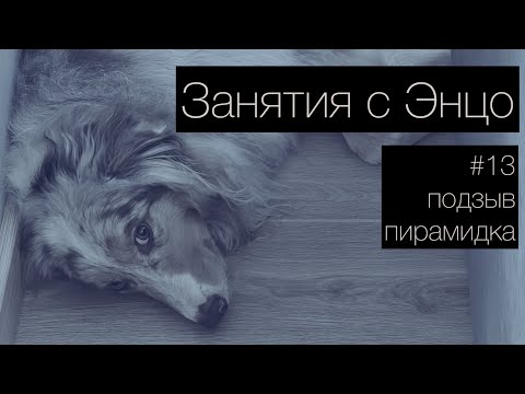 Видео: ЭНЦО #13