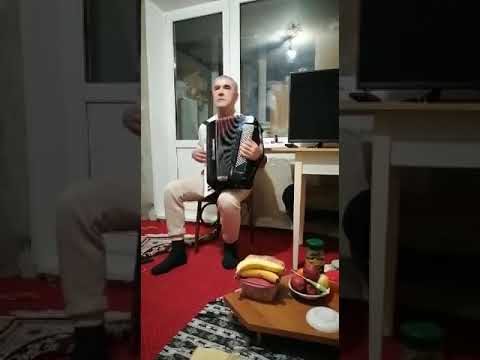 Видео: Шерали Хушвахтов гум кардаям