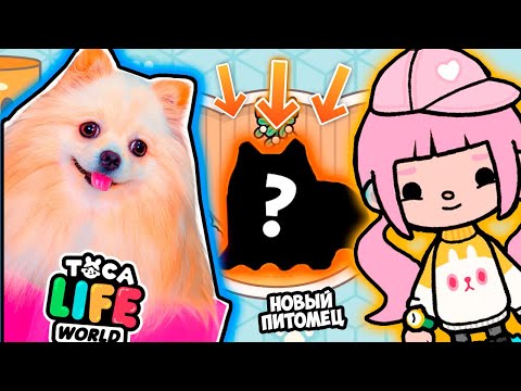Видео: НОВЫЙ ПИТОМЕЦ В ТОКА БОКА ! У ЭЛИС НОВЫЙ ПУШИСТИК ? TOCA BOCA LIFE WORLD