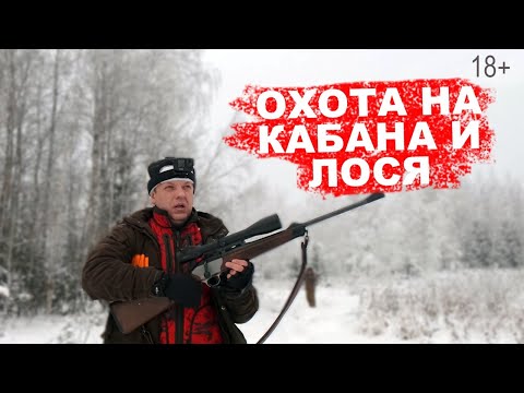 Видео: Охота на кабана и лося. Взял кабана ножом. Десять лосей вышли с загона.