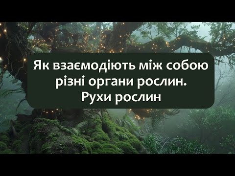 Видео: Біологія 7 клас (Балан). §20 Як взаємодіють між собою різні органи рослин. Рухи рослин