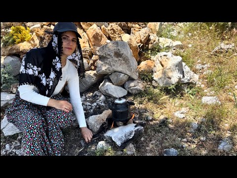Видео: Путешествие в горы \ Мы сварили на огне чай и чертополох \ Природные родниковые воды Жизнь в деревне