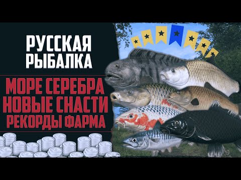 Видео: Новый Путь в РР4 #13 🔴 Огромный Фарм Серебра | Лещ на Имба Прикорм | Трофейные Звёзды | Новые Снасти