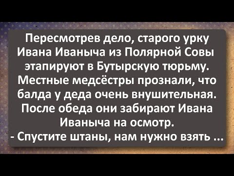 Видео: Ивана Иваныча Этапируют в Бутырку! Лучшие Анекдоты Всех Времен!