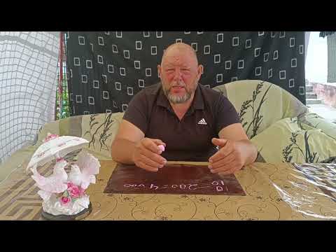 Видео: Нутрия. Сколько стоит начать.