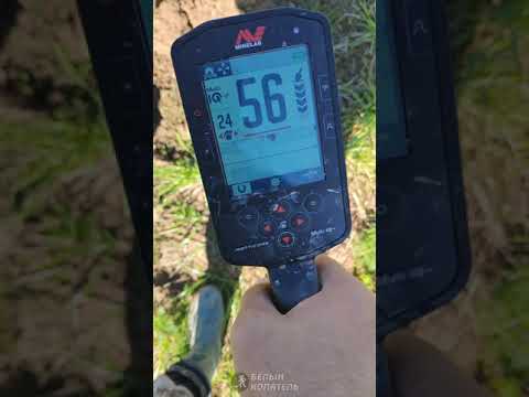 Видео: Реальный поиск с металлоискателем Minelab Manticore