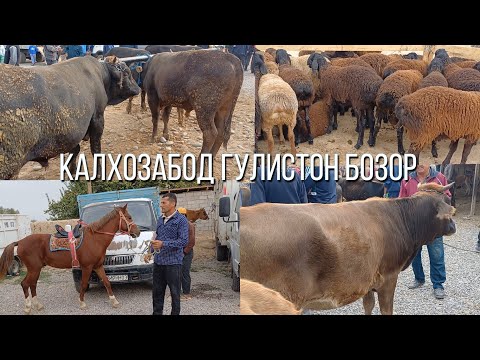 Видео: КАЛХОЗАБОД ГУЛИСТОН БОЗОР АРЗОН ШИД 