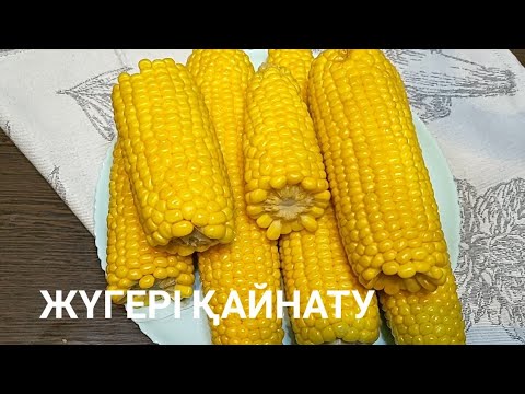 Видео: Жүгері қайнату.Жүгеріні қалай дұрыс қайнатамыз.Как правильно варить Кукурузу.