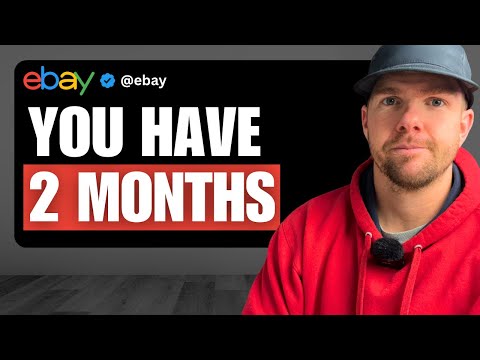 Видео: Как построить бизнес на eBay с доходом 100 долларов в день (до конца года)