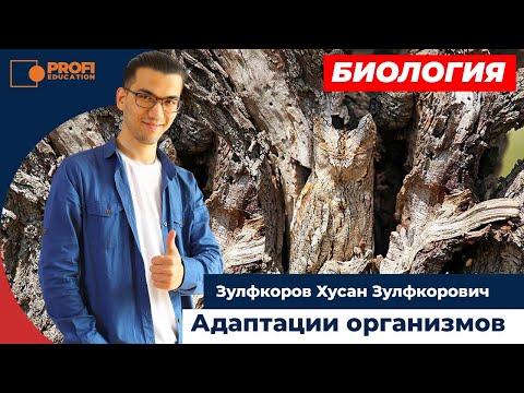 Видео: Приспособленность организмов