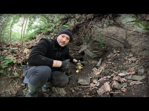 Видео: Золотой клад со змеиными головами оказался проклятым артефактом римского жреца